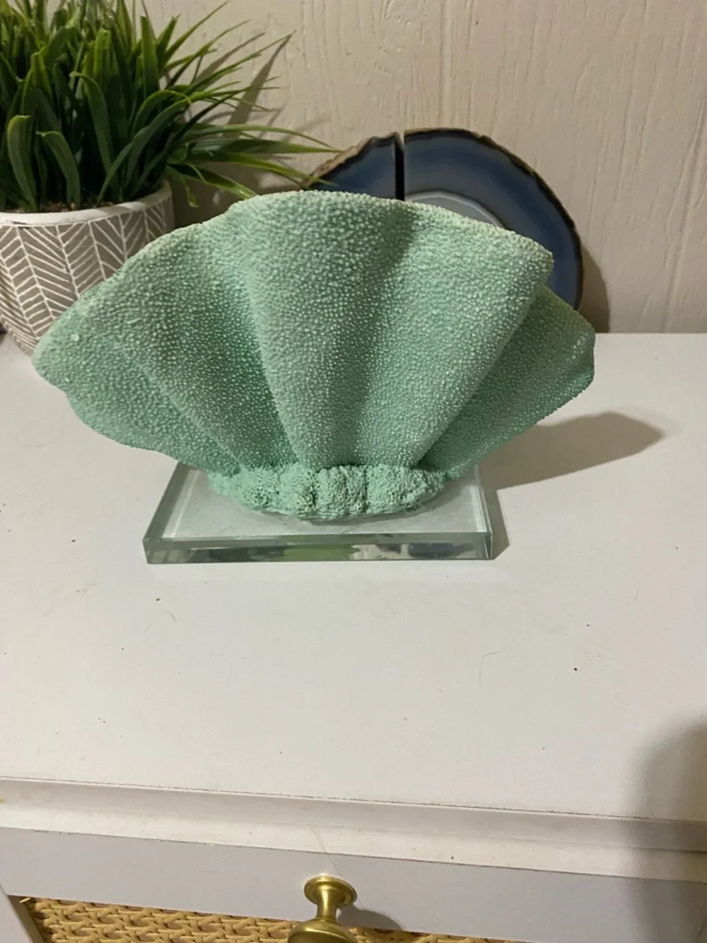 Mint Coral Sculpture Vanity Accent